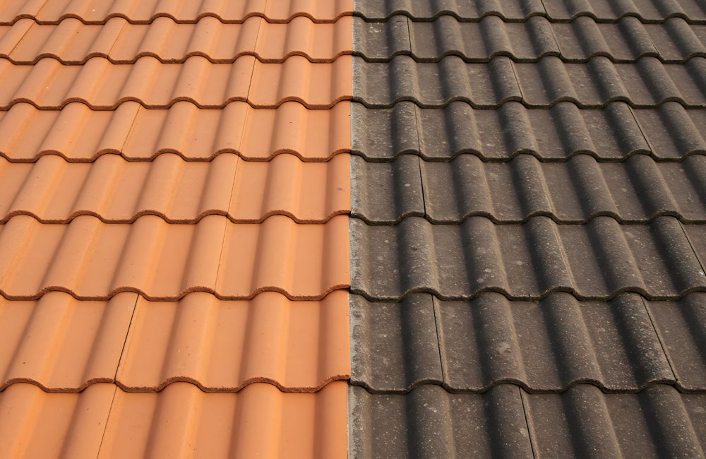 Roof tiles with a contrasting appearance: one side clean and the